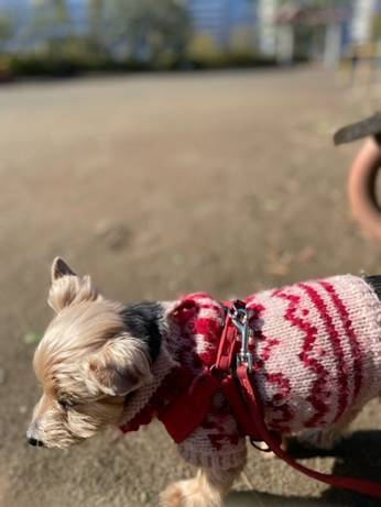 ��, ���O, ������, �� ���܂܂�Ă���摜

�����I�ɐ������ꂽ����